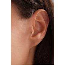 14 Ayar Altın Zar Şans Tragus Küpe