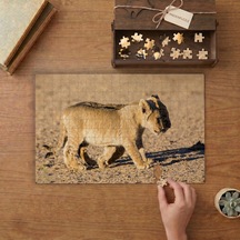 Yavru Aslan Tasarımı 240 Parça Ahşap Puzzle Ahşap Kutuda Mpy50056