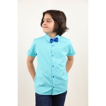 Mint Yeşili