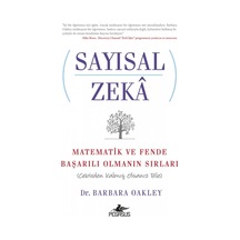 Sayısal Zeka Matematik Ve Fende Başarılı Olmanın Sırları (Cebi