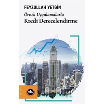 Kredi Derecelendirme - Örnek Uygulamalarla - Feyzullah Yetgin - VakıfBank Kültür Yayınları