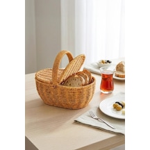Digithome Oval Hasır Rattan Mini Kulplu Sepet - Bb6069 Diğer