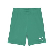 Puma Teamgoal Shorts Erkek Futbol Antrenman Şortu 70575205 Yeşil Yeşil