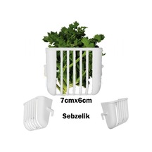 Bird Life Birdlife Sebzelik 7 6