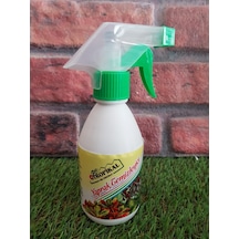 250 ML