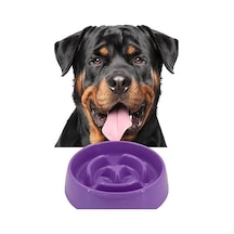 Evcil Hayvan Yavaş Mama Yeme Kabı Yavaş Besleyici Kedi Köpek Mama Kabı Orta Boy 375 Ml 1450