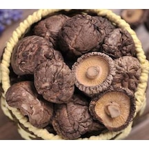 Shiitake Kurutulmuş 100 G