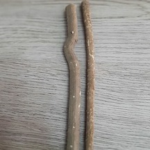 Beslenme Dedektifi Misvak