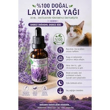 %100 Doğal Distülasyon Bitkisel Lavanta Yağı 30 Ml