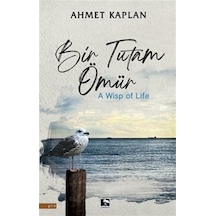 Bir Tutam Ömür - Ahmet Kaplan - Çınaraltı Yayınları