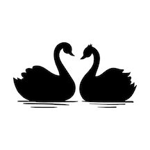 Kuğu Çifti Duvar Dekor Kaliteli Kaliteli Sticker 40 X 20 Cm