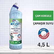 Bingo Oksijen Çamaşır Suyu 750 Ml Ferahlatan Hijyen Ekonomi Paket Diğer