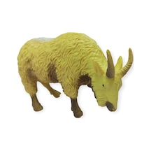 Hayvan