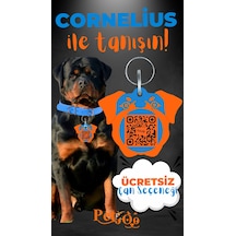 Petjoo 20.Cornelius Turuncu-Mavi Qr'lı Köpek Künyesi