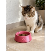 Pati Desen Model Beton Kedi Köpek Mama Ve Su Kabı 13 Cm Çap X 4 Cm - Pembe