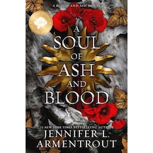 A Soul Of Ash And Blood Blood And Ash 5 Blue Box Press