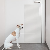 Köpek Tırmalama Mobilya Kapı Koruyucu Yapışkanlı Folyo 60 x 85 CM Şeffaf