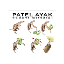 Palet Bacak  Bileziği 5 Adet