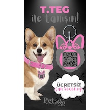 Petjoo 15.T.Teg Gri-Pembe Qr'lı Köpek Künyesi
