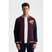 Arma Erkek Pamuklu Regular Fit Dik Yaka Baskılı Cepli Kolej Mont Sweatshirt 001