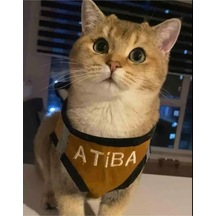 Kedi Köpek Göğüs Tasma Seti Isimli