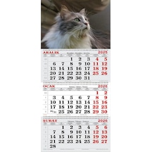 2026 Yılı Gemici Takvimi-maya...