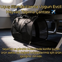 Vg Flybag Yırtılmaz Fileli Kedi Ve Köpek Taşıma Çantası Kabin Boy Uçuş Standartlarına Uygun