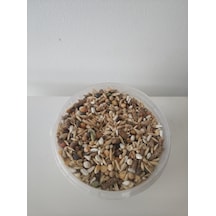 Goldmind Mix Karışım Kemirgen Yemi 5 KG