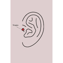 316l Çelik Gümüş Renk Zirkon Taşlı Sonsuzluk Detay Tragus Piercing - Çok Renkli