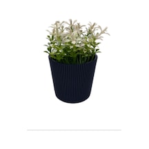 Çizgili Yuvarlak Saksı Çiçek Royaleks-5706 41bordocipsobeyaz
