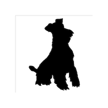 Köpek Folyo Sticker Derstv888 80cm Uzunluk Siyah