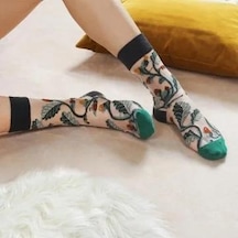 Japon Kore Tarzı Şeffaf Transparan Kadın Çorap Vine 42-517