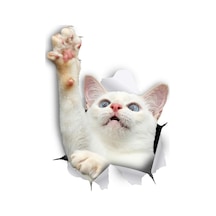 Sevimli Beyaz Yavru Kedi Araba Leptop Sticker Yapıştırma 18Cm