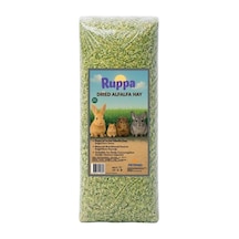 Ruppa Kemirgen Yoncası