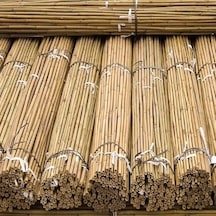 Fidan Dikim Destek Çubuğu 10 Adet 150cm