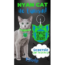 Petjoo 2.Nyan Cat Mavi-Yeşil Qr'lı Kedi Künyesi