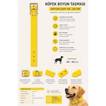 Köpek Boyun Tasması 46-60 Cm 4 Cm Geniş Dokuma Naylon Perçinli Metal Tokalı - Sarı Çok Renkli