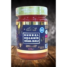 Nurbal Şifa Merkezi Organik Oğul Balı 450 G