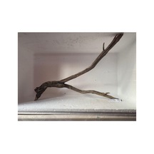 Red Welt Wood No:200603 55x7x39h