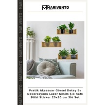 Çok Renkli