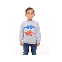 Toontoy Kids Toontoy Erkek Çocuk Nakışlı Sweatshirt Gri Melanj