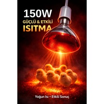 150w Isıtıcı Aul Kırmızı Isı Lambası Civciv Kümes Kuluçka E27 Duy Isıtma Aulü