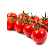 Cherry Domates Tohumu Saksılık 10 Tohum +Saksı+Toprak+ Tohu