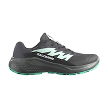 Salomon Kadın Koşu/fıtness Ayakkabı Alphaglıde Gore-tex L47802400 Gri