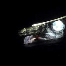Xen Vision 12v Beyaz Ampul H1