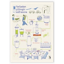 Anason İşleri Tarladan Çilingir Sofrasına, Poster 50x70cm