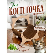 Tıme To Try Karton Tırmalama Tahtası Ve Yataklı Yerlı Kedi Ürünü 326877378