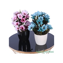 Yapay Çiçek Sitesi Plastik Saksıda Yapay Katmerli Papatya Tanzimi 2'li Set 25 Cm Açık Pembe - Turkuaz