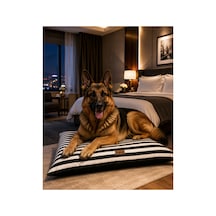 Kedi Ve Köpek Yer Minderi Üst Kalite Yıkanabilir Kılıflı Fermuarlı %100 Boncuk Elyaf Kaydırmaz Taban Kedi Ve Köpek Yatağı Siyah 1604632324