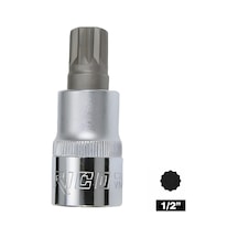 Rıco 1/2 M14 Lokmalı Bits Uç Kısa 58 Mm